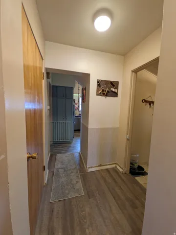 Wood-finish flooring throughout the hallway