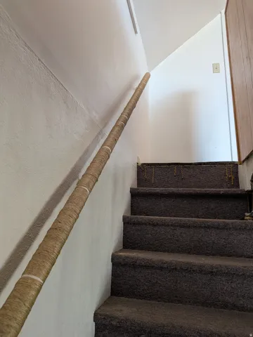 Carpeted staircase with a rope-wrapped handrail and painted walls
