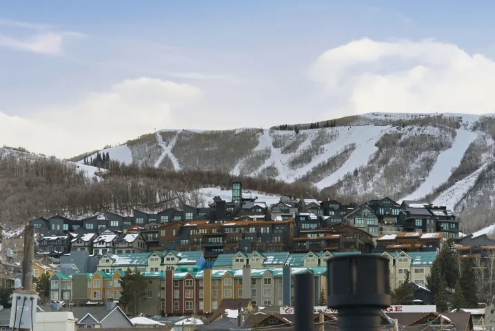 Mountain backdrop with snow-covered slopes and bare trees