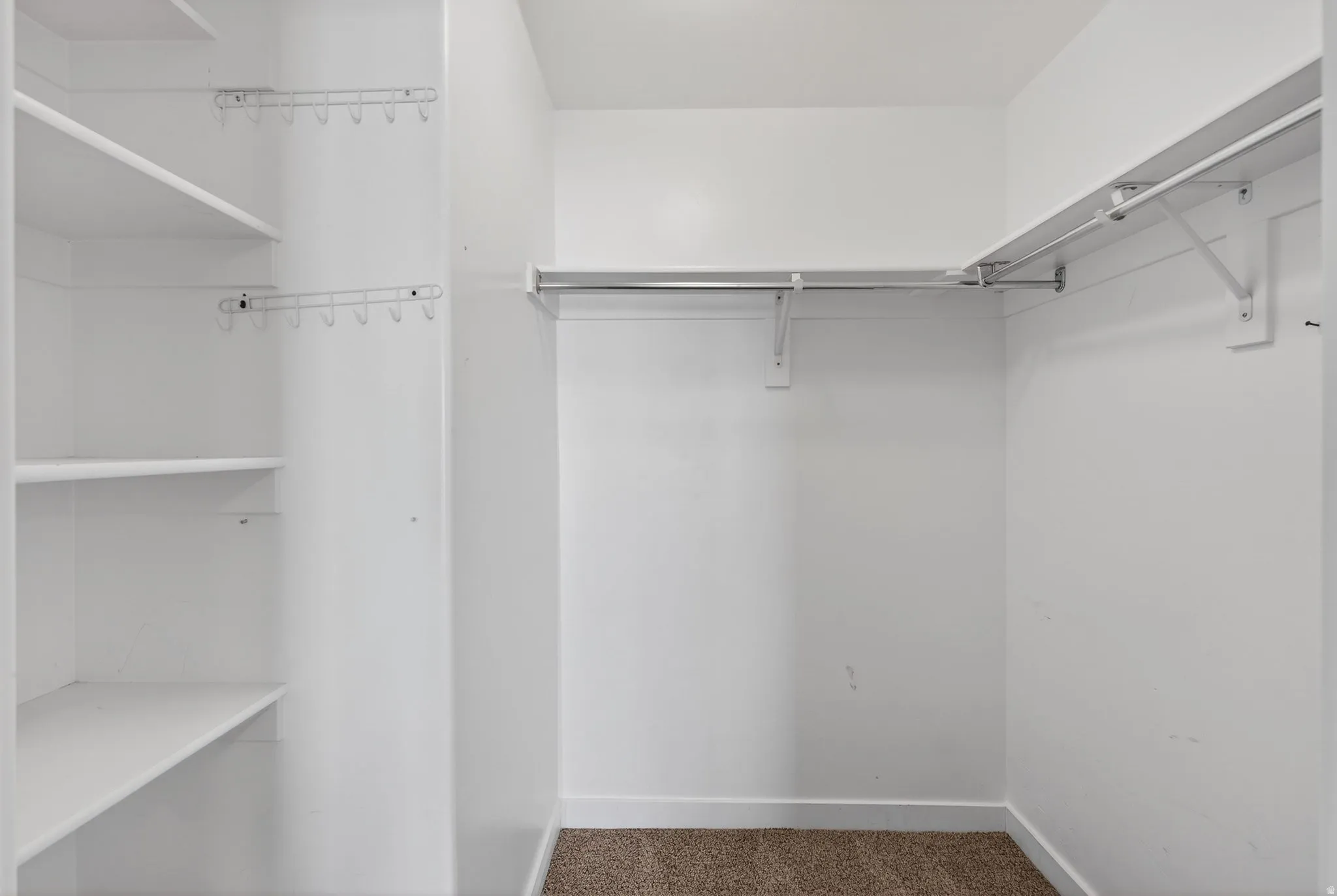 Walk-in closet featuring built-in shelving, garment rods, and carpet flooring