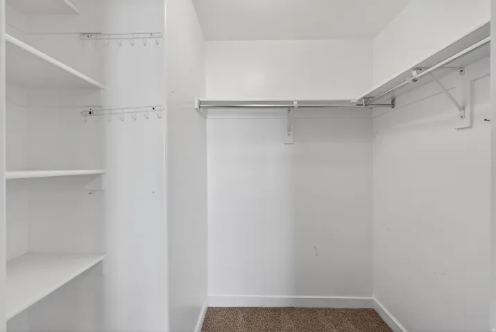 Walk-in closet featuring built-in shelving, garment rods, and carpet flooring