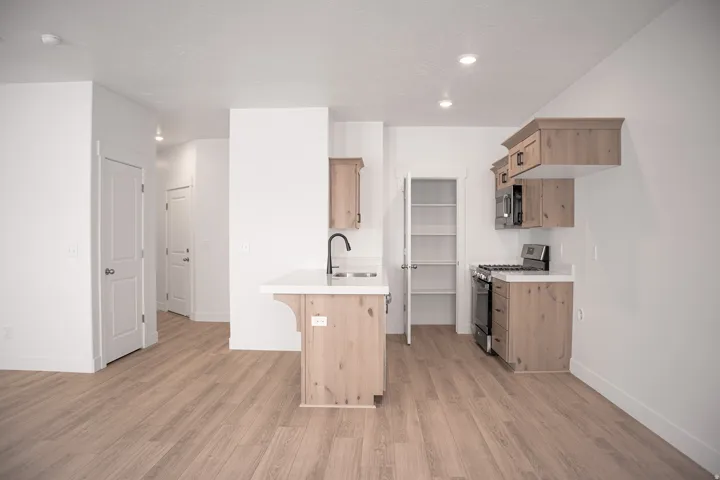Kitchen and pantry