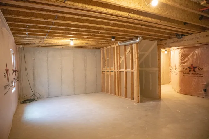 View of unfinished basement