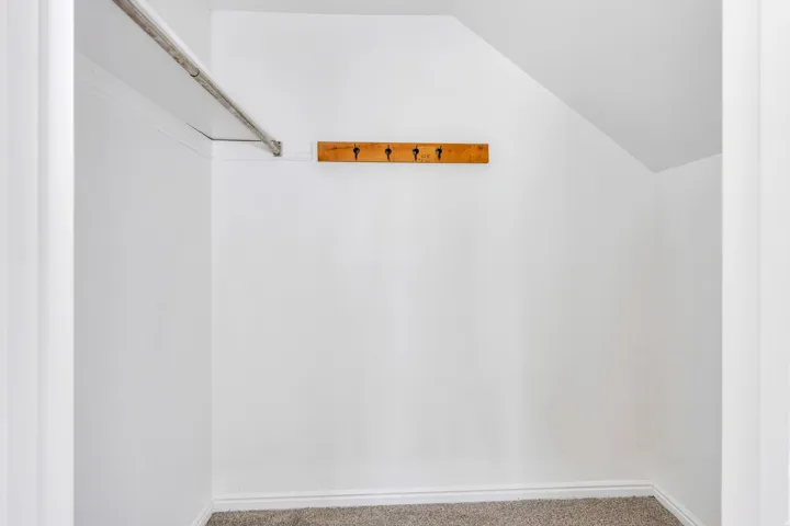 Storage space featuring a clothing rod, wood-finish wall-mounted hooks, and neutral carpeting