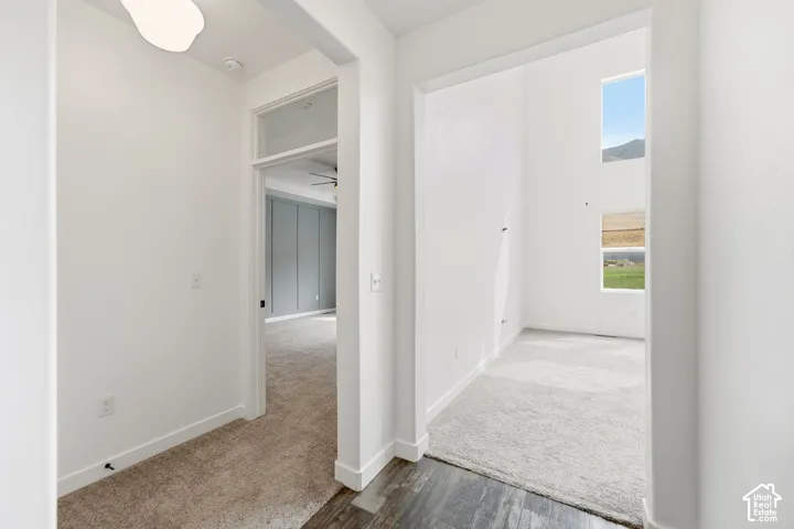 Wood-finish flooring at entry