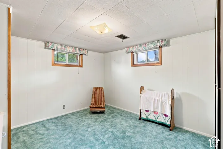 Carpeted room with white paneled walls, two windows with wood trim, and a drop ceiling with a central light fixture
