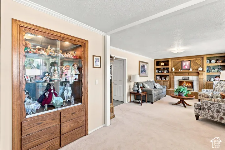 Built-in display cabinetry with glass shelving, wood-paneled wall with integrated shelving, fireplace with white surround, and crown molding