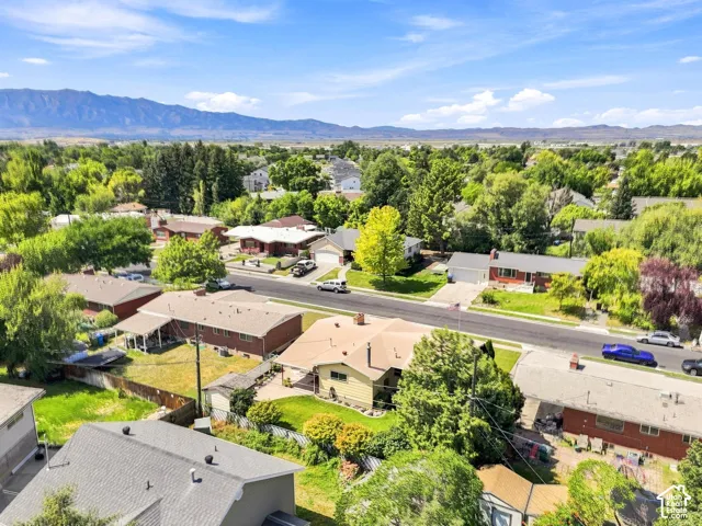 Neighborhood setting with mature trees and mountain backdrop