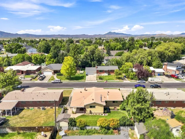 Residential streetscape with established trees and distant mountain range