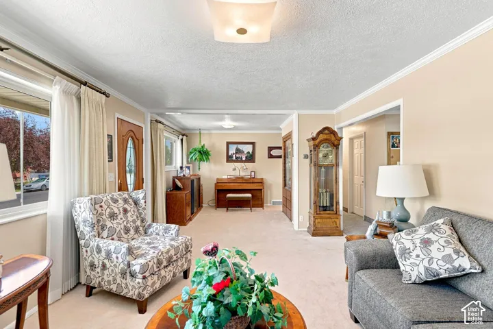 Carpeted living area with neutral wall tones and white crown molding