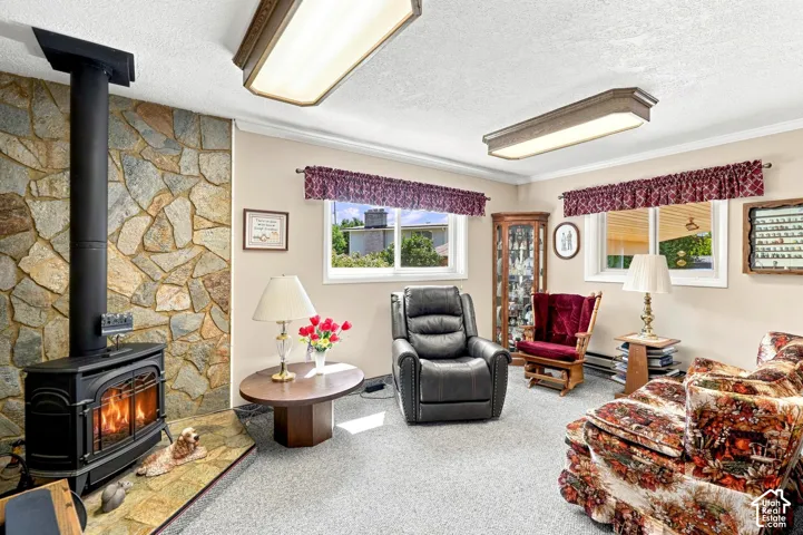 Stone accent wall with a black fireplace, carpeted flooring, multiple windows, and crown molding