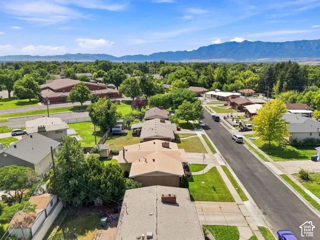 Residential street with mature trees and mountain backdrop