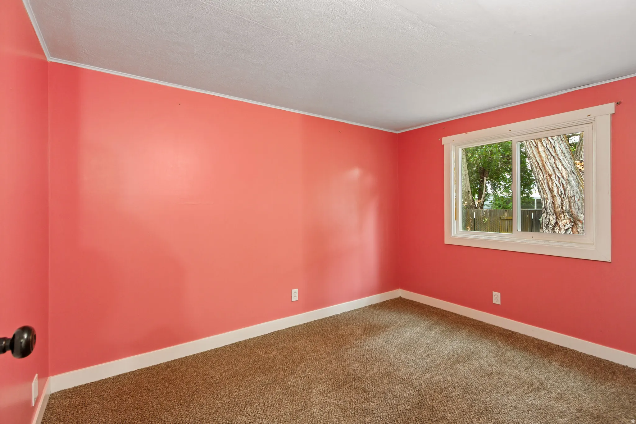 Carpeted room with a single window, white trim, and painted walls