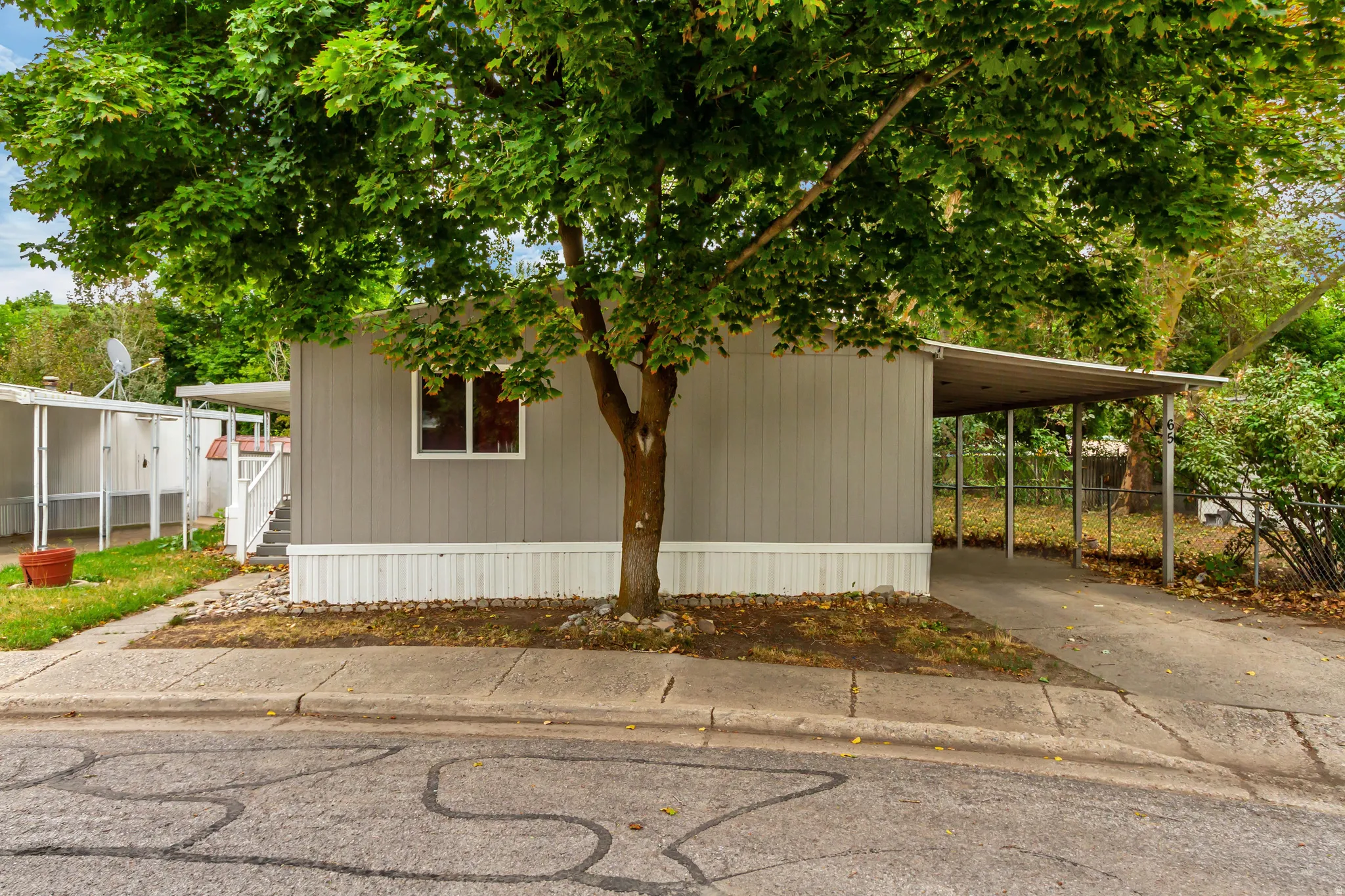 Single-story residence featuring light gray siding, white trim, a covered carport, and mature trees