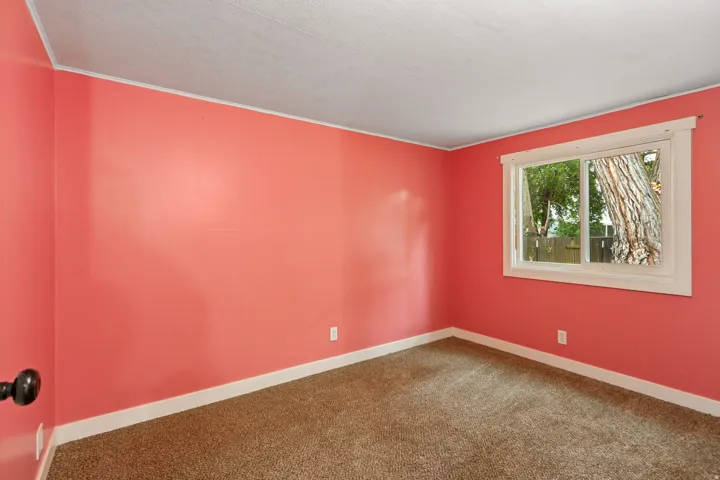 Carpeted room with a single window, white trim, and painted walls
