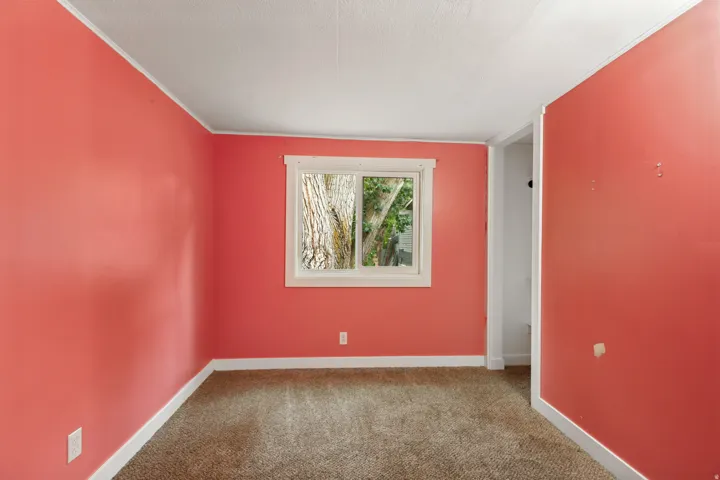 Carpeted room with a single window and white trim