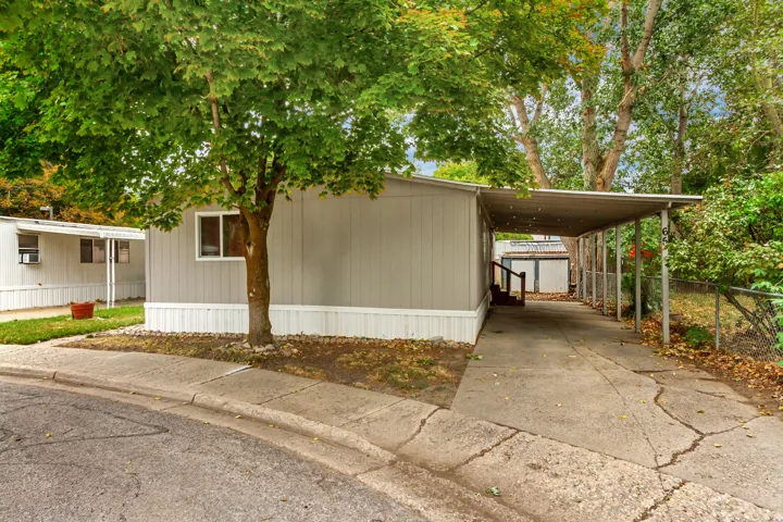 Light-toned exterior with white trim, a covered carport, established tree, concrete driveway, and chain-link fencing