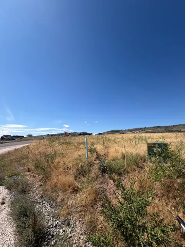 Expansive undeveloped lot featuring natural vegetation and partial road frontage