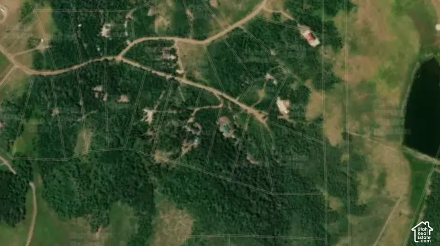 Aerial Map. Highlighting the property boundaries and surrounding geographical features including Moose Lake