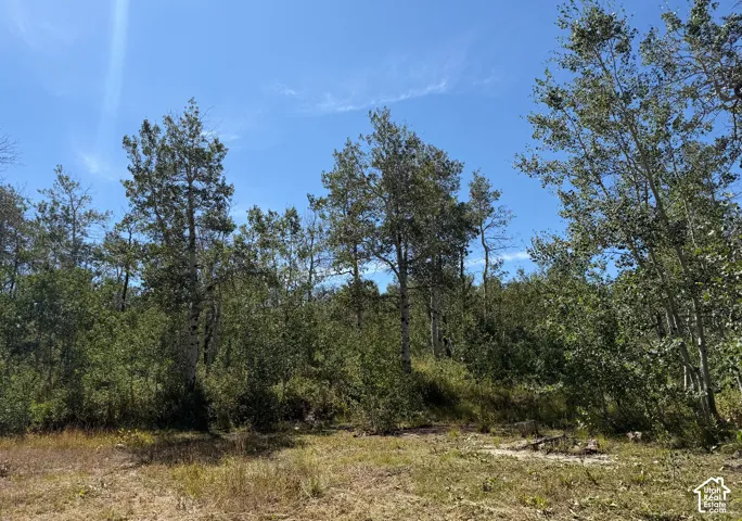 Flattened area for camping and/or cabin site