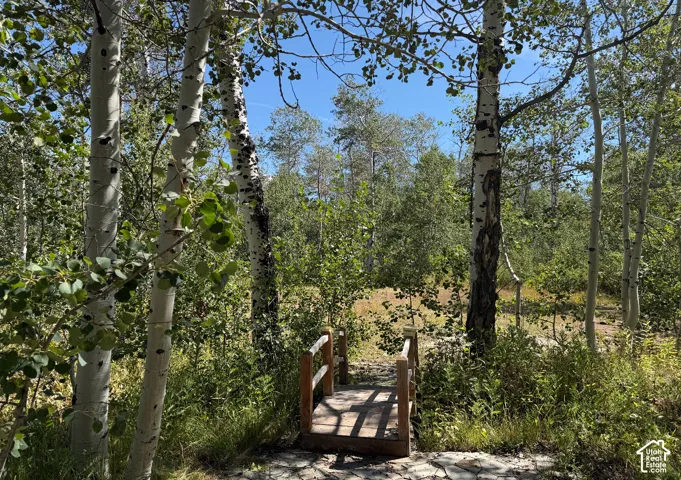 Walkway through aspens from leveled area to meadow
