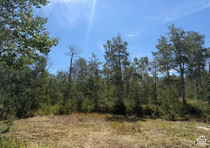 Flattened area for camping and/or cabin site