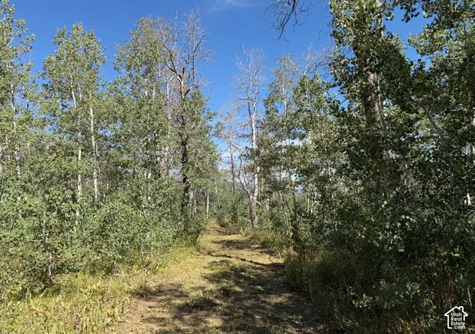 Driveway headed down to community road