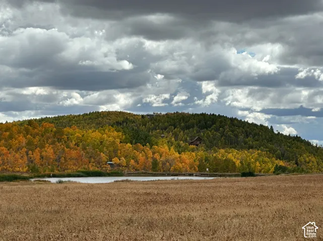 5 minute walk to moose lake from property