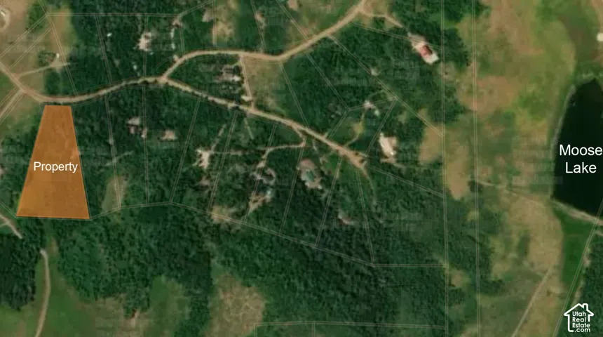 Aerial Map. Highlighting the property boundaries and surrounding geographical features including Moose Lake