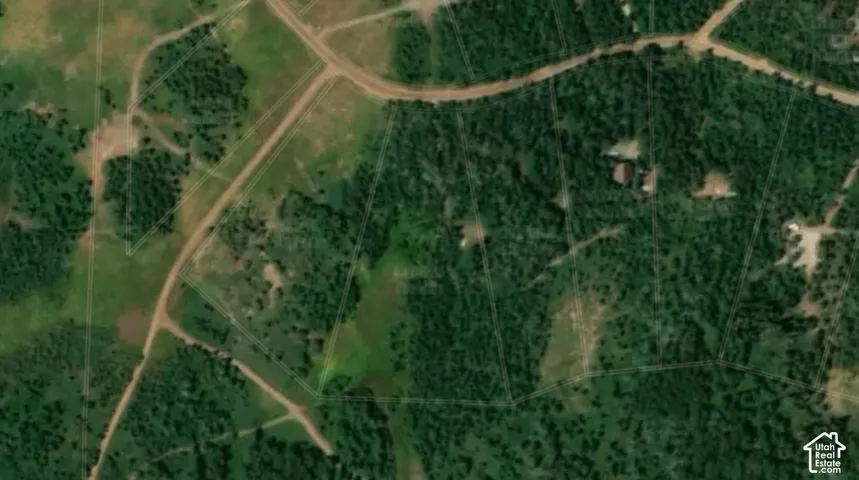 Property from above, featuring large meadow and wooded areas