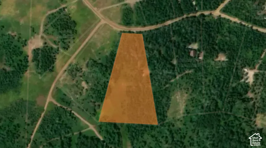 Property from above, featuring large meadow and wooded areas