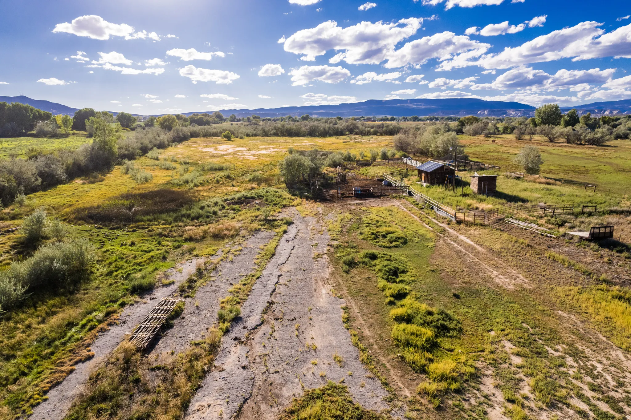 Expansive land with multiple outbuildings, fencing, and a treed perimeter
