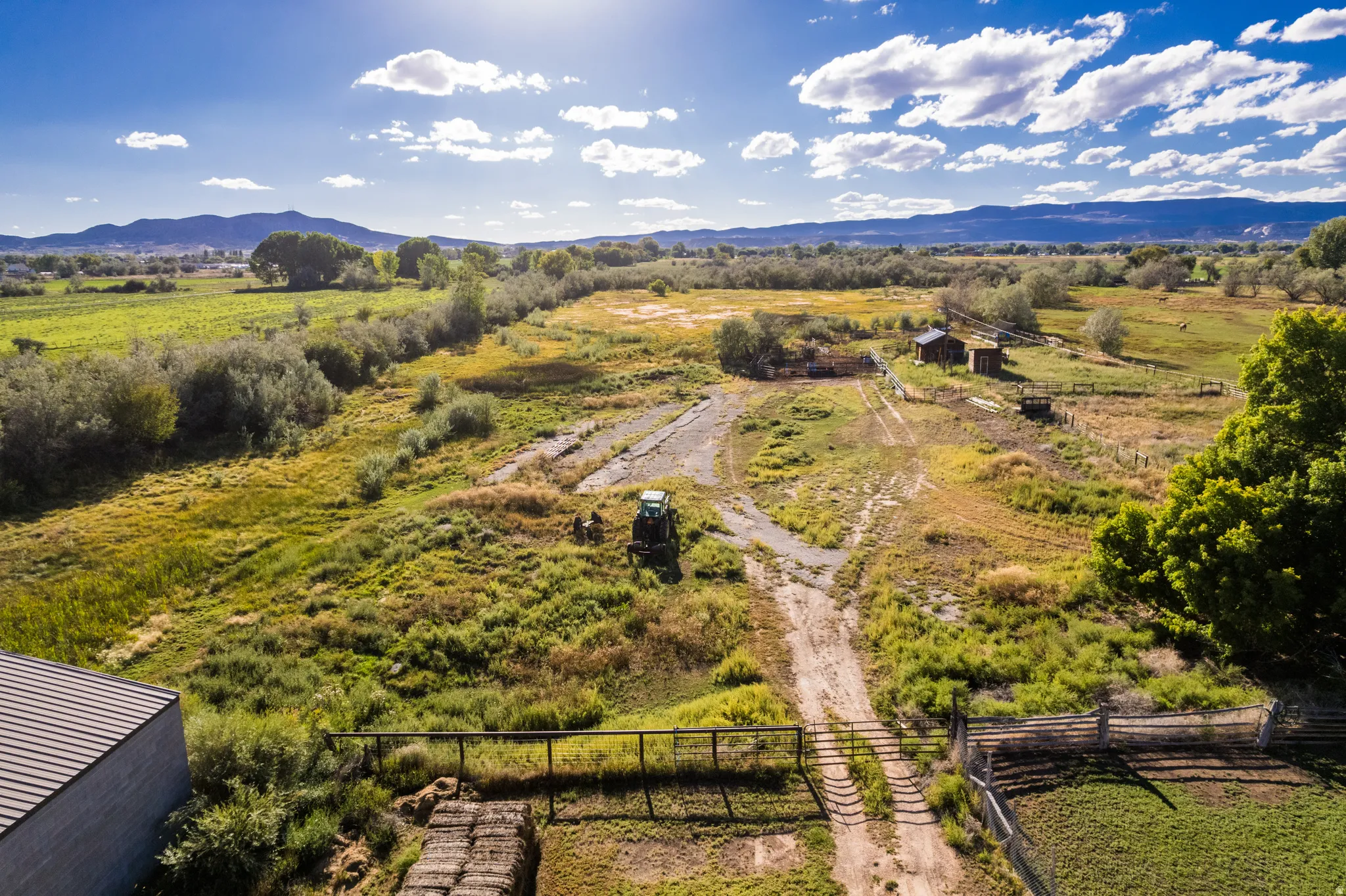 Expansive natural landscape with mature trees and distant mountains