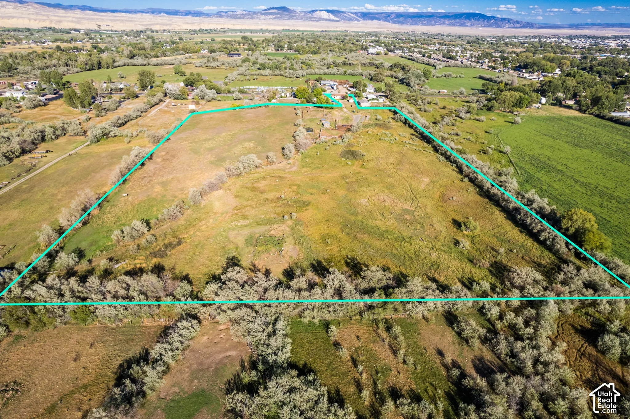 Expansive acreage with natural landscaping, mature trees, and mountainous scenery