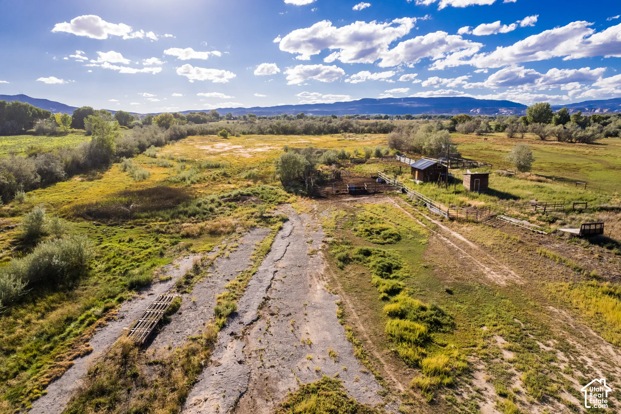 Expansive land with multiple outbuildings, fencing, and a treed perimeter