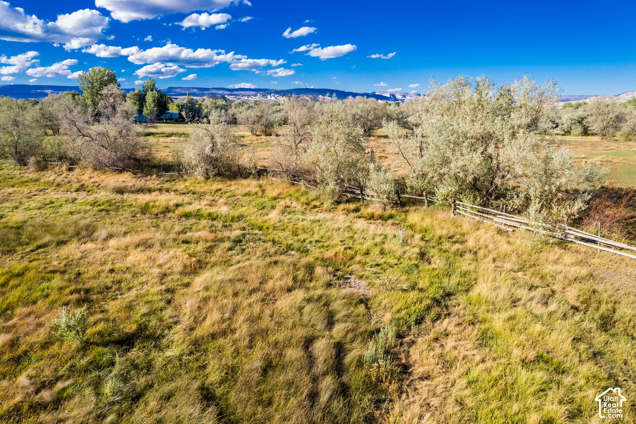 Expansive grassy terrain with scattered foliage and a visible distant structure