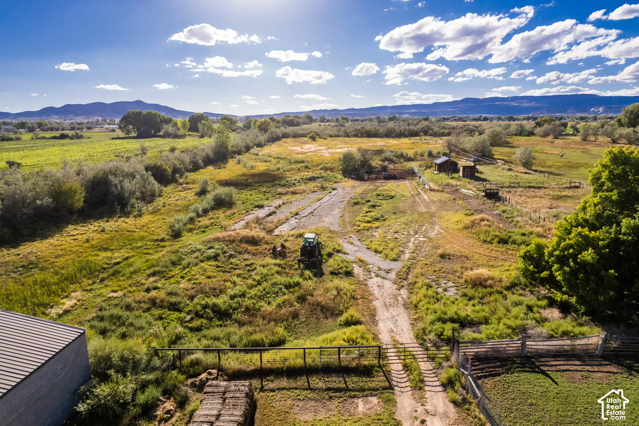 Expansive natural landscape with mature trees and distant mountains