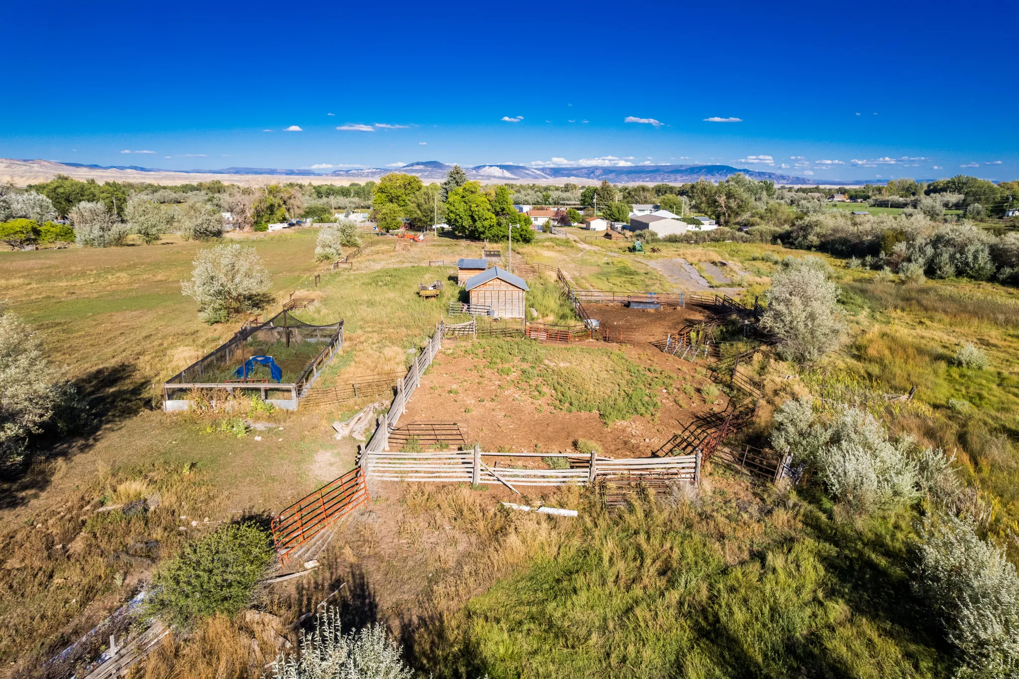 Expansive property with multiple fenced enclosures, established trees, and mountainous terrain