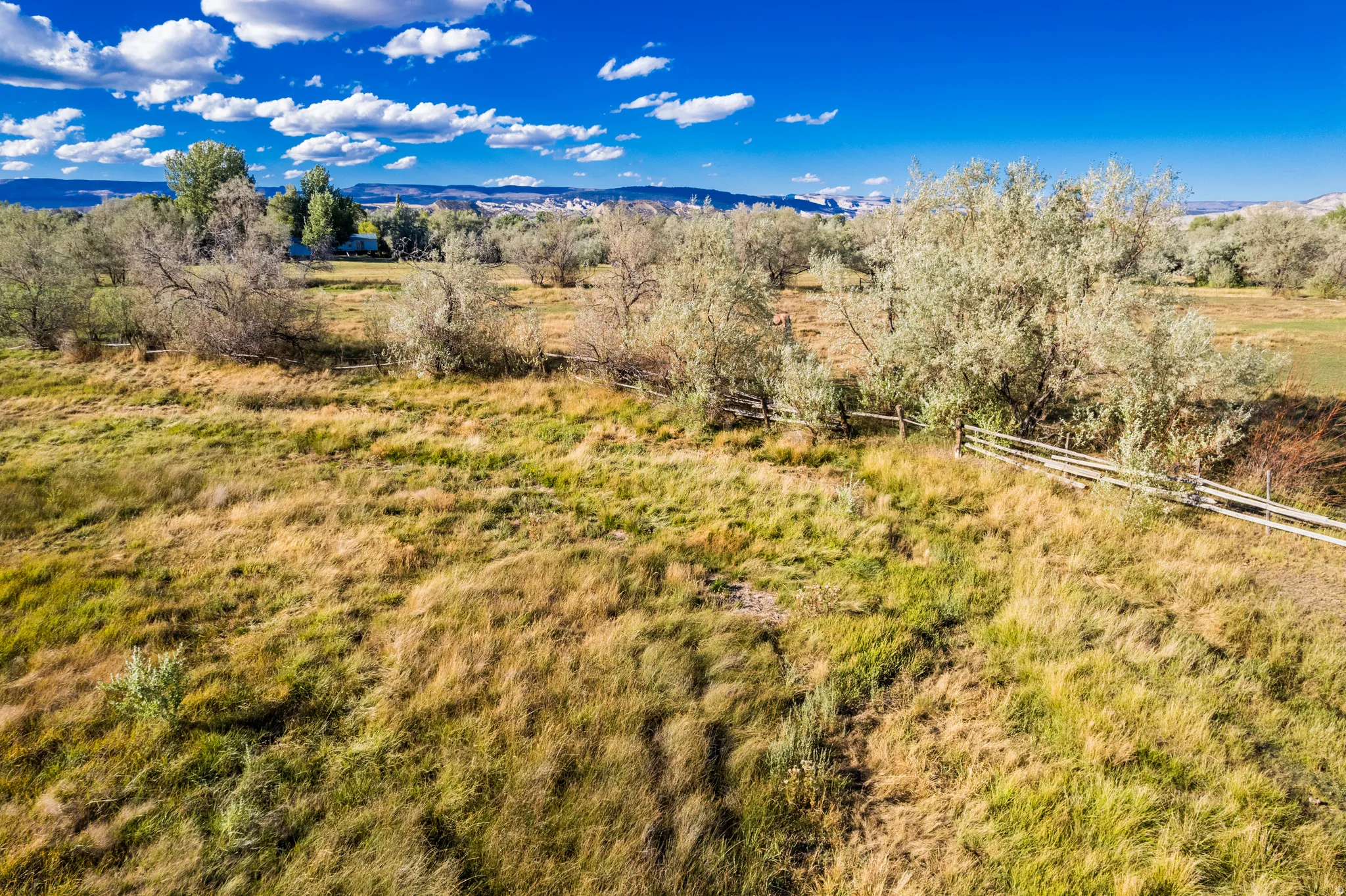 Expansive grassy terrain with scattered foliage and a visible distant structure