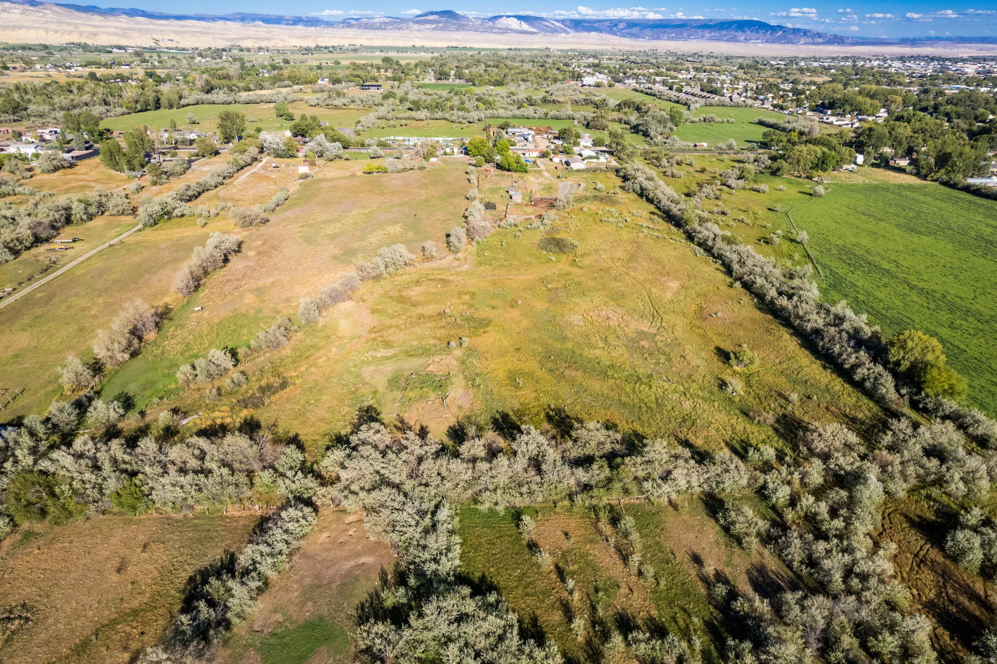 Expansive acreage featuring established vegetation and distant mountain scenery