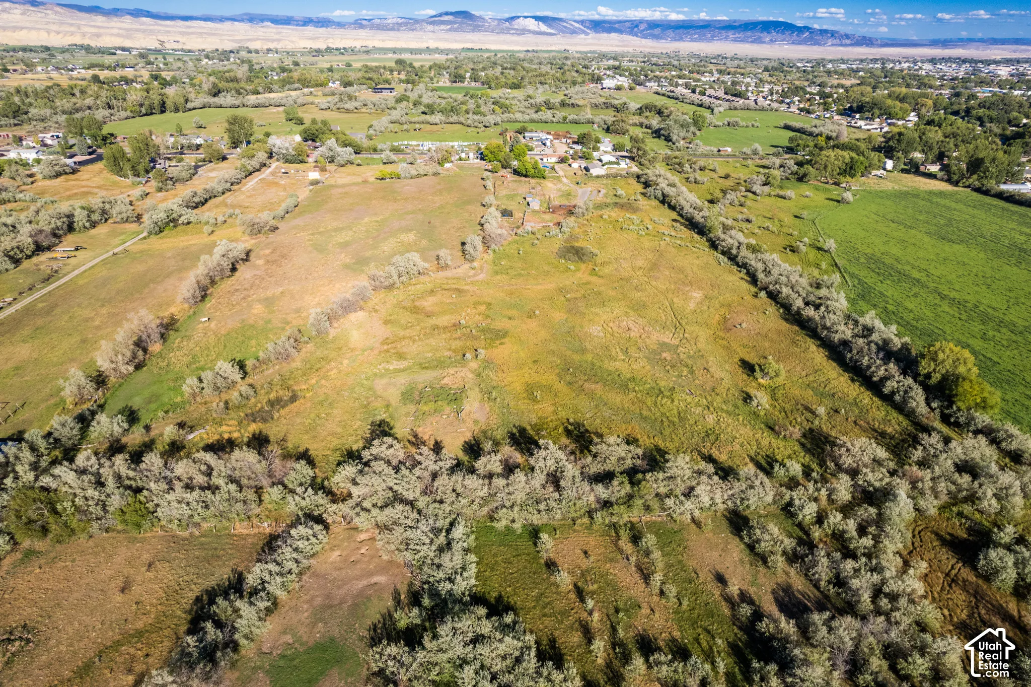 Expansive acreage featuring established vegetation and distant mountain scenery