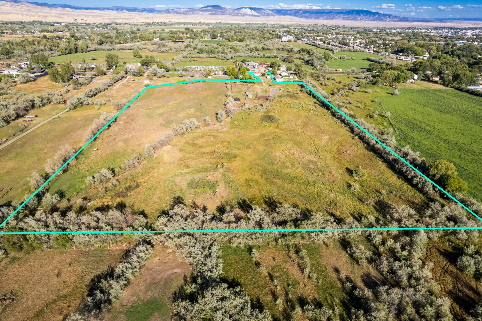 Expansive acreage with natural landscaping, mature trees, and mountainous scenery