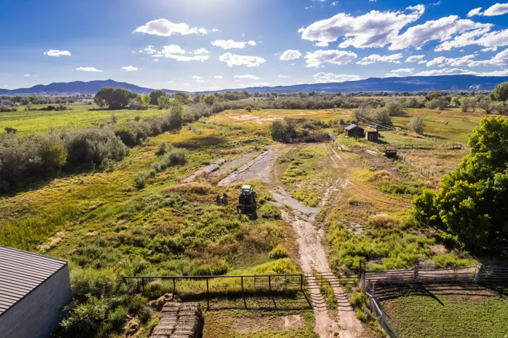Expansive natural landscape with mature trees and distant mountains