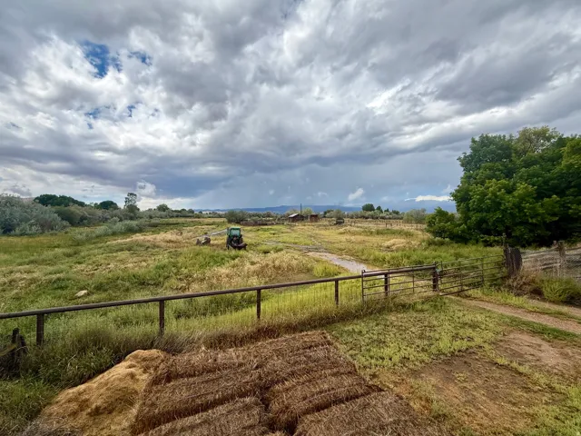 Expansive agricultural land featuring a natural landscape and a metal fence with gate