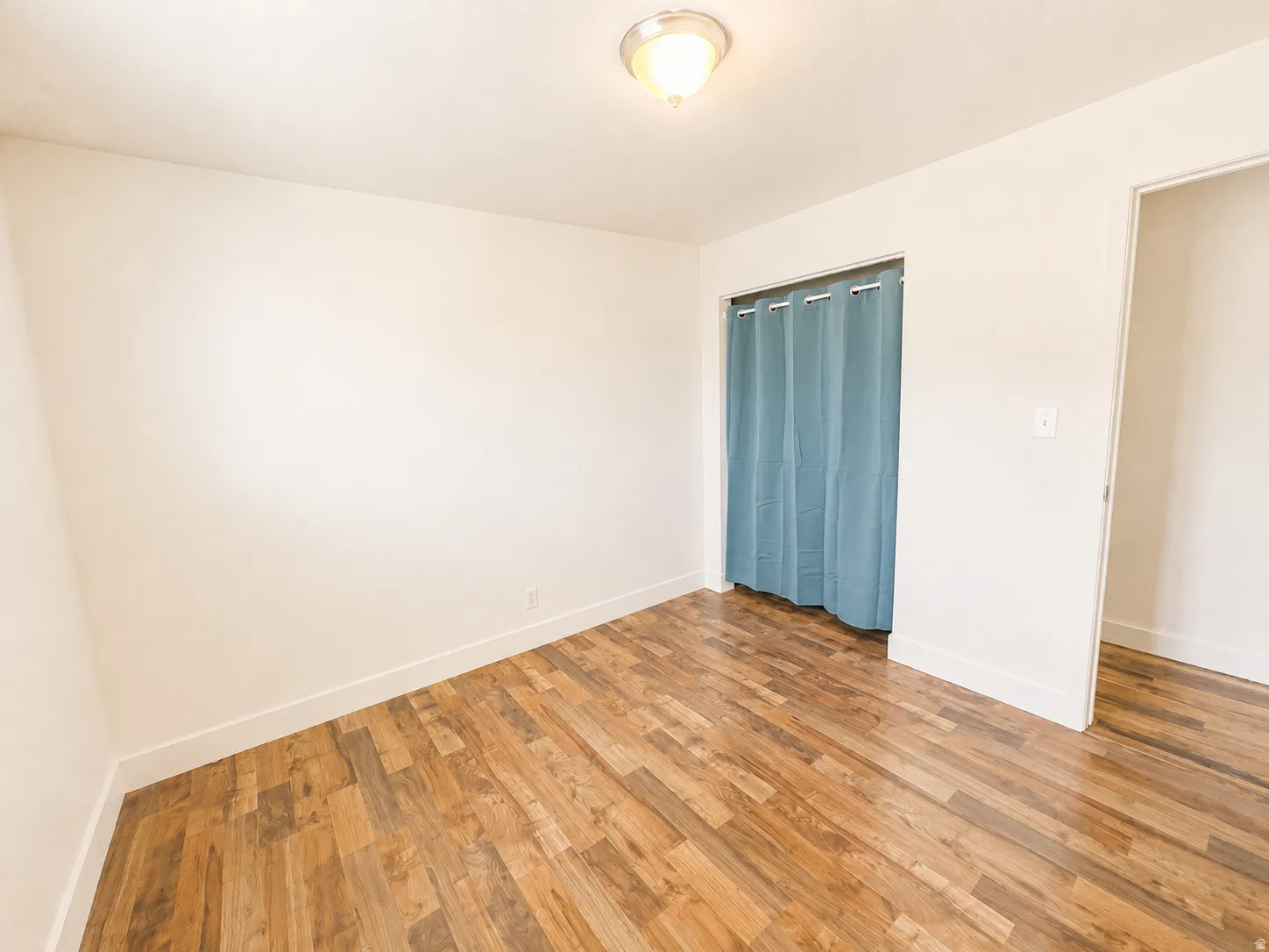 Wood-finish flooring, recessed closet, ceiling-mounted light fixture, and neutral wall tones