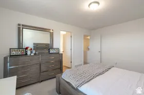 Neutral wall tones and carpeted flooring