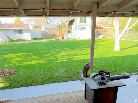 Expansive green lawn, concrete patio, overhead lighting, and mature trees