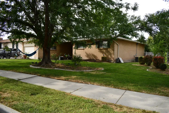Brick exterior with a large mature tree, established landscaping, and a concrete sidewalk