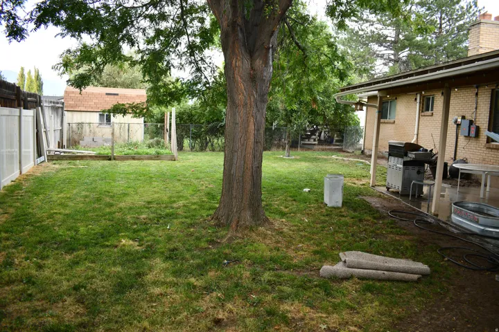Expansive backyard featuring a mature tree, manicured lawn, and privacy fencing