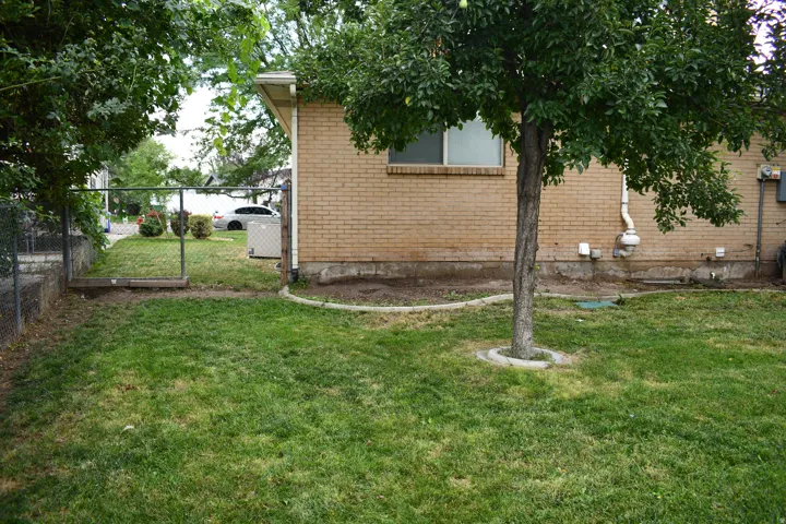 Expansive lawn area with a mature tree